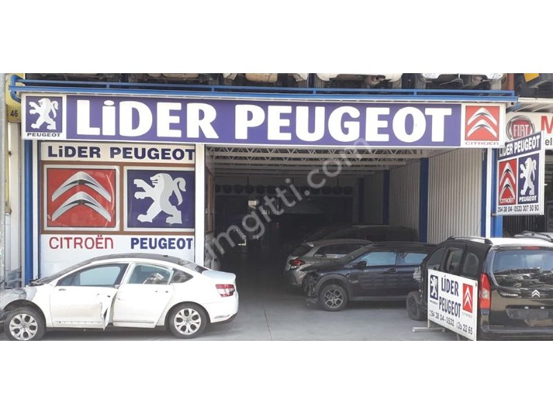 PEJO  301  ÇIKMA  BOŞ KAPI  LİDER PEUGEOT